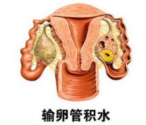 ǻҺ֢״Ʒ